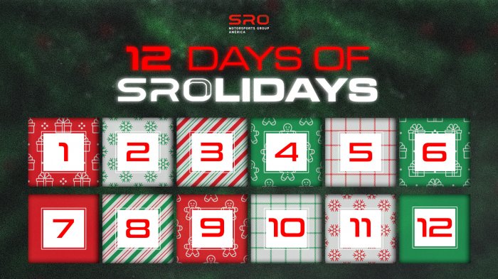 Unwrap the Excitement: The SRO Holiday Gift Guide is Here!