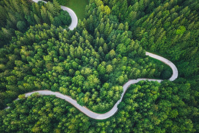 SRO Motorsports Group upholds environmental commitment with support for projects around the globe
