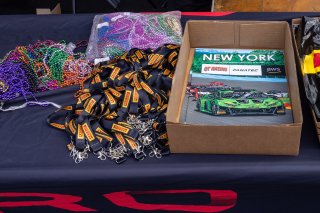 SRO America, Watkins Geln International, Watkins Glen NY, July 2022.
 | ©2022 Regis Lefebure/SRO
