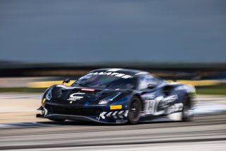 #34 Ferrari 488 GT3 of Manny Franco and Alessandro Balzan, Conquest Racing, GT World Challenge America, Pro, SRO America, Sebring International Raceway, Sebring, FL, September 2022.
 | Fabian Lagunas/SRO             