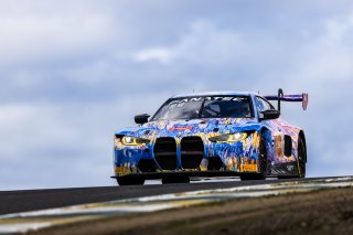 #38 BMW M4 GT3 of Samantha Tan and John Edwards, ST Racing, GT World Challenge America, Pro-Am, April 2023., CA, SRO America, Sonoma, Sonoma Raceway
 | Fabian Lagunas / SRO