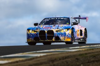 #38 BMW M4 GT3 of Samantha Tan and John Edwards, ST Racing, GT World Challenge America, Pro-Am, April 2023., CA, SRO America, Sonoma, Sonoma Raceway
 | Fabian Lagunas / SRO