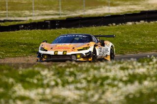 #33 Ferrari 296 GT3 of Justin Wetherill and Ryan Dalziel, Triarsi Competizione, GT World Challenge America, Pro, April 2023., CA, SRO America, Sonoma, Sonoma Raceway
 | Fabian Lagunas / SRO