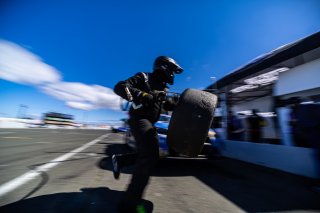#38 BMW M4 GT3 of Samantha Tan and John Edwards, April 2023., CA, GT World Challenge America, Pro-Am, SRO America, ST Racing, Sonoma, Sonoma Raceway
 | Fabian Lagunas / SRO