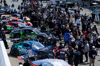 April 2023., CA, Grid Walk at SRO America, Sonoma, Sonoma Raceway
 | Fabian Lagunas / SRO