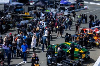 April 2023., CA, Grid Walk at SRO America, Sonoma, Sonoma Raceway
 | Fabian Lagunas / SRO