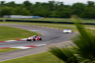 #53 Porsche GT3 992 of Trenton Estep and Seth Lucas, April 2023., GT World Challenge America, LA, MDK Motorsports, NOLA Motorsports Park, New Orleans, Pro, SRO America
 | Fabian Lagunas / SRO