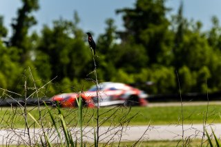 #04 Mercedes-AMG GT3 of George Kurtz and Colin Braun, April 2023., Crowdstrike by Riley Motorsports, GT World Challenge America, LA, NOLA Motorsports Park, New Orleans, Pro-Am, SRO America
 | Fabian Lagunas / SRO