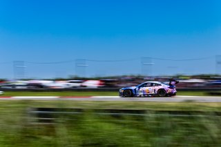 #38 BMW M4 GT3 of Samantha Tan and John Edwards, April 2023., GT World Challenge America, LA, NOLA Motorsports Park, New Orleans, Pro-Am, SRO America, ST Racing
 | Fabian Lagunas / SRO