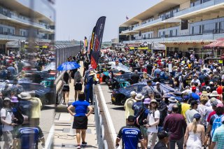 Grid walk at FANATEC GT World Challenge America Powered by AWS, SRO America, COTA, Austin, TX May 17 - 19 2024.
 | Fabian Lagunas / SRO