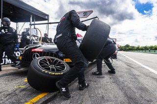 #91 Mercedes-AMG GT3 of Jeff Burton and Philip Ellis, Regulator Racing, GT World Challenge America, Pro-Am, SRO America, FANATEC GT World Challenge America Powered by AWS, VIR, Alton, VA July 19 - 21 2024.
 | Fabian Lagunas / SRO           