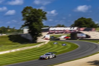 #50 Mercedes-AMG GT3 of Ross Chouest and Aaron Povoledo, Chouest Povoledo Racing, Pro-Am, GT World Challenge America, FANATEC GT World Challenge America Powered by AWS, Road America, Elkhart Lake, August 16 - 18 2024.
 | Fabian Lagunas / SRO           