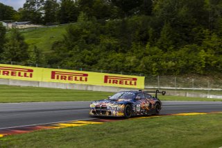 #38 BMW M4 GT3 of Samantha Tan and Neil Verhagen, ST Racing, GT World Challenge America, Pro-Am, SRO America, FANATEC GT World Challenge America Powered by AWS, Road America, Elkhart Lake, WI August 16 - 18 2024.
 | Fabian Lagunas / SRO      