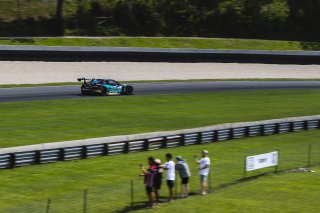 #29 BMW M4 GT3 of Justin Rothberg and Robby Foley, Turner Motorsport, GT World Challenge America, Pro-Am, FANATEC GT World Challenge America Powered by AWS, Road America, Elkhart Lake, WI August 16 - 18 2024.
 | Fabian Lagunas / SRO           