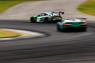 #99 BMW M4 GT3 of Kenton Koch and Conor Daly, Random Vandals Racing, GT World Challenge America, Pro, FANATEC GT World Challenge America Powered by AWS, SRO America, Barber Motorsports Park, Leeds, AL September 6 - 8 2024.
 | Fabian Lagunas