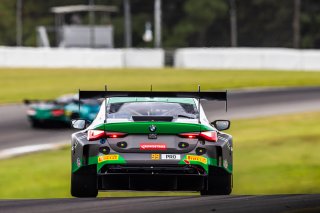 #99 BMW M4 GT3 of Kenton Koch and Conor Daly, Random Vandals Racing, GT World Challenge America, Pro, FANATEC GT World Challenge America Powered by AWS, SRO America, Barber Motorsports Park, Leeds, AL September 6 - 8 2024.
 | Fabian Lagunas