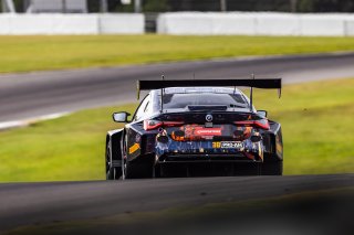 #38 BMW M4 GT3 of Samantha Tan and Neil Verhagen, ST Racing, GT World Challenge America, Pro-Am, SRO America, FANATEC GT World Challenge America Powered by AWS, Barber Motorsports Park, Leeds, AL September 6 - 8 2024.
 | Fabian Lagunas