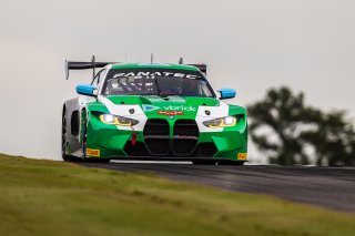 #99 BMW M4 GT3 of Kenton Koch and Conor Daly, Random Vandals Racing, GT World Challenge America, Pro, FANATEC GT World Challenge America Powered by AWS, SRO America, Barber Motorsports Park, Leeds, AL September 6 - 8 2024.
 | Fabian Lagunas