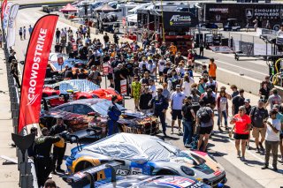 Grid walk at FANATEC GT World Challenge America Powered by AWS, SRO America, Barber Motorsports Park, Leeds, AL September 6 - 8 2024.
 | Fabian Lagunas