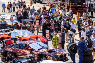 Grid walk at FANATEC GT World Challenge America Powered by AWS, SRO America, Barber Motorsports Park, Leeds, AL September 6 - 8 2024.
 | Fabian Lagunas