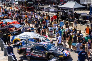 Grid walk at FANATEC GT World Challenge America Powered by AWS, SRO America, Barber Motorsports Park, Leeds, AL September 6 - 8 2024.
 | Fabian Lagunas