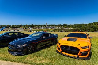 Activations at FANATEC GT World Challenge America Powered by AWS, SRO America, Barber Motorsports Park, Leeds, AL September 6 - 8 2024.
 | Fabian Lagunas