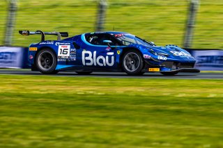 #16 Ferrari 296 GT3 of Marcelo Hahn and Allam Khodair, AF Corse, Pro-Am, GT World Challenge America Powered by AWS, SRO America, Sonoma Raceway, Sonoma, CA, March 28-30, 2025.
 | Fabian Lagunas