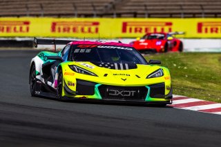 #11 Chevrolet Corvette Z06 GT3.R of Blake McDonald and Matt Bell, Pro-Am, GT World Challenge America Powered by AWS, SRO America, Sonoma Raceway, Sonoma, CA, March 28-30, 2025.
 | Fabian Lagunas