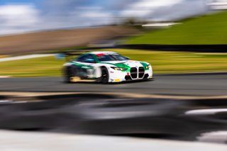 #51 BMW M4 GT3 EVO of Varun Choksey and Bill Auberlen, Random Vandals Racing, Pro, GT World Challenge America Powered by AWS, SRO America, Sonoma Raceway, Sonoma, CA, March 28-30, 2025.
 | Fabian Lagunas
