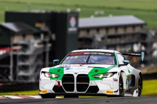 #51 BMW M4 GT3 EVO of Varun Choksey and Bill Auberlen, Random Vandals Racing, Pro, GT World Challenge America Powered by AWS, SRO America, Sonoma Raceway, Sonoma, CA, March 28-30, 2025.
 | SRO Motorsports Group