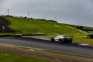 #50 Chevrolet Corvette Z06 GT3.R of Ross Chouest and Aaron Povoledo, Chouest Povoledo Racing, Pro-Am, GT World Challenge America Powered by AWS, SRO America, Sonoma Raceway, Sonoma, CA, March 28-30, 2025.
 | Fabian Lagunas | www.lagunasphotography.com | For SRO Motorsports Group 2025