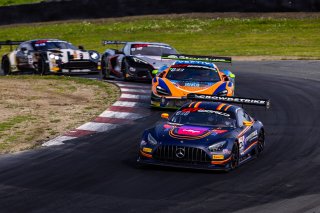 #04 Mercedes-AMG GT3 of George Kurtz and Colin Braun, Crowdstrike by Riley, Pro-Am, GT World Challenge America Powered by AWS, SRO America, Sonoma Raceway, Sonoma, CA, March 28-30, 2025.
 | Fabian Lagunas | www.lagunasphotography.com | For SRO Motorsports Group 2025