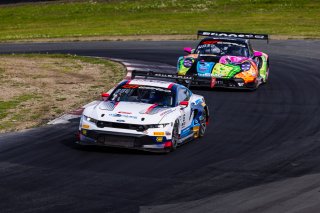 #6 Ford Mustang GT3 of Scott Dollahite and Anthony Lazzaro, Dollahite Racing, Pro-Am, GT World Challenge America Powered by AWS, SRO America, Sonoma Raceway, Sonoma, CA, March 28-30, 2025.
 | Fabian Lagunas | www.lagunasphotography.com | For SRO Motorsports Group 2025