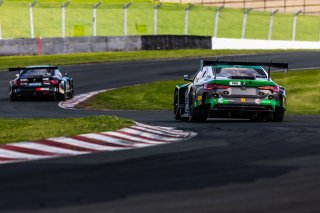 #99 BMW M4 GT3 EVO of Kenton Koch and Connor De Phillippi, Random Vandals Racing, Pro, GT World Challenge America Powered by AWS, SRO America, Sonoma Raceway, Sonoma, CA, March 28-30, 2025.
 | Fabian Lagunas | www.lagunasphotography.com | For SRO Motorsports Group 2025