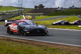 #91 Mercedes-AMG GT3 of Jeff Burton and Philip Ellis, Regulator Racing, Pro-Am, GT World Challenge America Powered by AWS, SRO America, Sonoma Raceway, Sonoma, CA, March 28-30, 2025.
 | Fabian Lagunas | www.lagunasphotography.com | For SRO Motorsports Group 2025