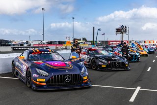 Grid walk at GT World Challenge America Powered by AWS, SRO America, Sonoma Raceway, Sonoma, CA, March 28-30, 2025. #04 Mercedes-AMG GT3 of George Kurtz and Colin Braun, Crowdstrike by Riley, Pro-Am
 | Fabian Lagunas | www.lagunasphotography.com | For SRO Motorsports Group 2025