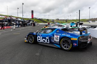 Grid walk at GT World Challenge America Powered by AWS, SRO America, Sonoma Raceway, Sonoma, CA, March 28-30, 2025.
 | Fabian Lagunas | www.lagunasphotography.com | For SRO Motorsports Group 2025