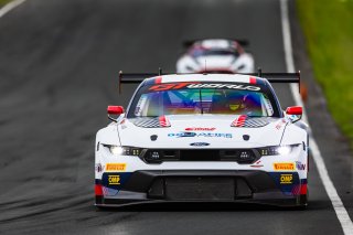 #6 Ford Mustang GT3 of Scott Dollahite and Anthony Lazzaro, Dollahite Racing, Pro-Am, GT World Challenge America Powered by AWS, SRO America, Sonoma Raceway, Sonoma, CA, March 28-30, 2025.
 | Fabian Lagunas