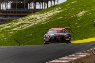 #27 Mercedes-AMG GT3 of Jason Daskalos and Isaac Sherman, CRP Racing, Pro-Am, GT World Challenge America Powered by AWS, SRO America, Sonoma Raceway, Sonoma, CA, March 28-30, 2025.
 | Fabian Lagunas