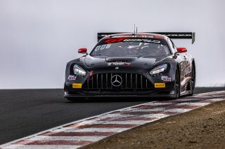 #91 Mercedes-AMG GT3 of Jeff Burton and Philip Ellis, Regulator Racing, Pro-Am, GT World Challenge America Powered by AWS, SRO America, Sonoma Raceway, Sonoma, CA, March 28-30, 2025.
 | Fabian Lagunas