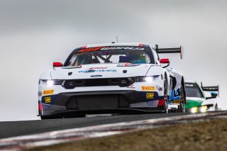 #6 Ford Mustang GT3 of Scott Dollahite and Anthony Lazzaro, Dollahite Racing, Pro-Am, GT World Challenge America Powered by AWS, SRO America, Sonoma Raceway, Sonoma, CA, March 28-30, 2025.
 | Fabian Lagunas