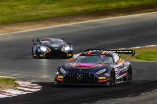 #04 Mercedes-AMG GT3 of George Kurtz and Colin Braun, Crowdstrike by Riley, Pro-Am, GT World Challenge America Powered by AWS, SRO America, Sonoma Raceway, Sonoma, CA, March 28-30, 2025.
 | Fabian Lagunas