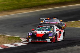#18 Porsche 992 GT3 R of Alex Sedgwick and Jan Heylen, RS1, Pro, GT World Challenge America Powered by AWS, SRO America, Sonoma Raceway, Sonoma, CA, March 28-30, 2025.
 | Fabian Lagunas