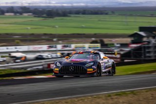 #04 Mercedes-AMG GT3 of George Kurtz and Colin Braun, Crowdstrike by Riley, Pro-Am, GT World Challenge America Powered by AWS, SRO America, Sonoma Raceway, Sonoma, CA, March 28-30, 2025.
 | Fabian Lagunas