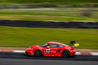 #92 Porsche 992 GT3 R of Jean-Frederic Laberge and Kyle Marcelli, LAB Motorsport by GT Racing, Pro-Am, GT World Challenge America Powered by AWS, SRO America, Sonoma Raceway, Sonoma, CA, March 28-30, 2025.
 | Fabian Lagunas