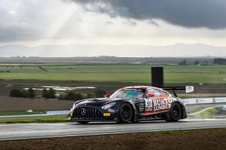 #91 Mercedes-AMG GT3 of Jeff Burton and Philip Ellis, Regulator Racing, Pro-Am, GT World Challenge America Powered by AWS, SRO America, Sonoma Raceway, Sonoma, CA, March 28-30, 2025.
 | Fabian Lagunas