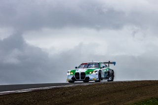 #51 BMW M4 GT3 EVO of Varun Choksey and Bill Auberlen, Random Vandals Racing, Pro, GT World Challenge America Powered by AWS, SRO America, Sonoma Raceway, Sonoma, CA, March 28-30, 2025.
 | Fabian Lagunas