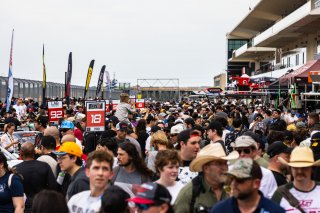 Grid walk at GT World Challenge America Powered by AWS, SRO America, Circuit of the Americas, Austin, TX, April 25-27, 2025.
 | Fabian Lagunas | www.lagunasphotography.com | For SRO Motorsports Group 2025