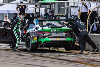 #99 BMW M4 GT3 EVO of Kenton Koch and Connor De Phillippi, Random Vandals Racing, Pro, GT World Challenge America Powered by AWS, SRO America, Sebring International Raceway, Sebring, FL, May 15-18, 2025.
 | Fabian Lagunas | www.lagunasphotography.com | For SRO Motorsports Group 2025