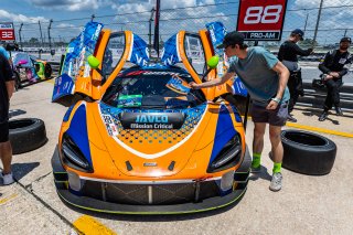 Grid walk at GT World Challenge America Powered by AWS, SRO America, Sebring International Raceway, Sebring, FL, May 15-18, 2025.
 | Fabian Lagunas | www.lagunasphotography.com | For SRO Motorsports Group 2025